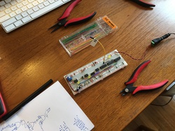 A breadboard circuit with three 555 timers, one astable generating a clock pulse rate controlled by a potentiometer, two acting as debouncers for switches.